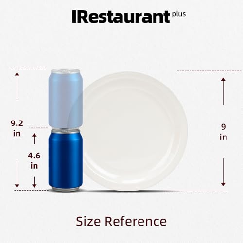 Stoneware Narrow Rim Commercial Grade Dinnerware America White, Plate 9", Case of 24 - color: America White, size: Plate 9"