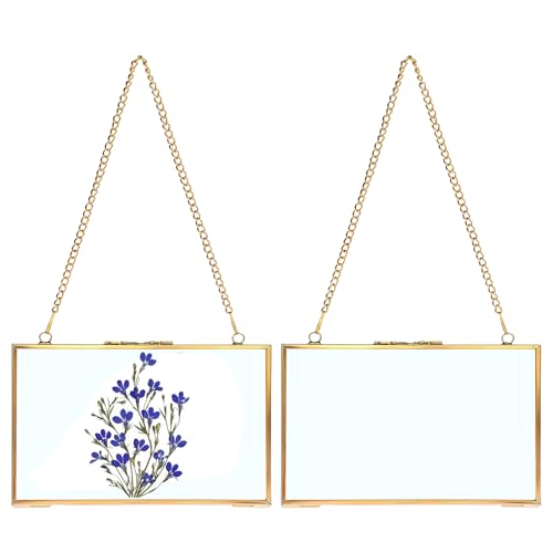 JUXYES 5x7 Hanging Double Glass Floater Picture Frame for Pressed Flowers | 2 Pack Horizontal Brass Hanging Frame with Chain for Dried Flowers, Gold Floating Frame Ornament for Post Card, Plant, DIY - color: Horizontal, size: 5" x 7"