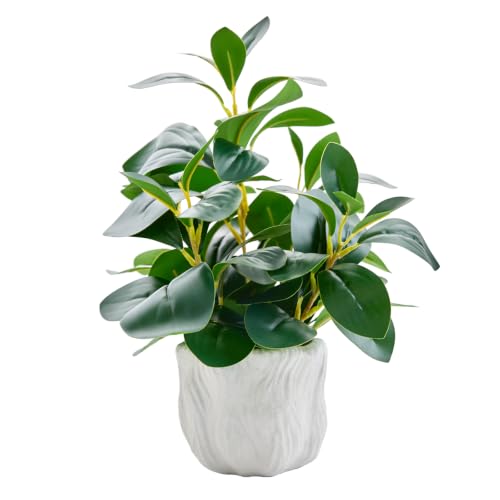 14" Artificial Potted Plant with Thick Leaves in White Textured Pot | Realistic Thick Leaves , Compact Desk & Shelf Plant , White Textured Decorative Pot , Modern Home & Office Decor