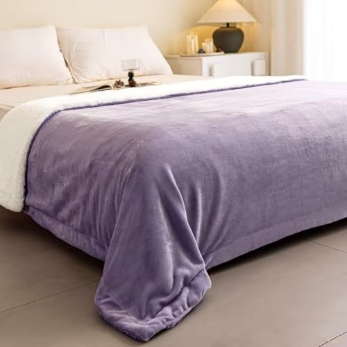 K.Garden Sherpa Fleece Throw Blanket for Couch Sofa, Super Soft Cozy Fuzzy Plush Blankets Fleece Thick Warm Blanket for Winter Reversible Thick Warm Blanket for Bed, Sofa,Purple 6080 - color: Purple 19, size: Twin (60" x 80")