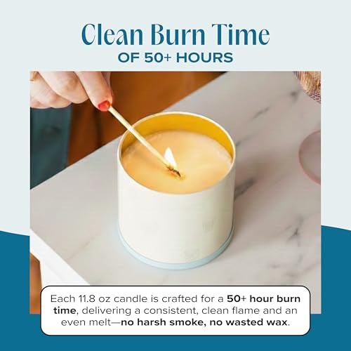 You & Me by the Sea Pet-Friendly Scented Candle – Sea Salt & Neroli Fragrance - Coconut Soy Wax Candle with Wooden Wick, Approx. 50-Hour Burn Time, Made in USA, 11.8 oz - color: You & Me by The Sea