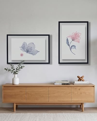 DLQuarts 13x19 Floating Picture Frame for 11x17/11x14 Photos, 2-Pack Solid Wood Double Plexiglass Wall Art Frames, Any Size Photo up to 13x19 Display, Black - color: Charcoal Black, size: 13x19