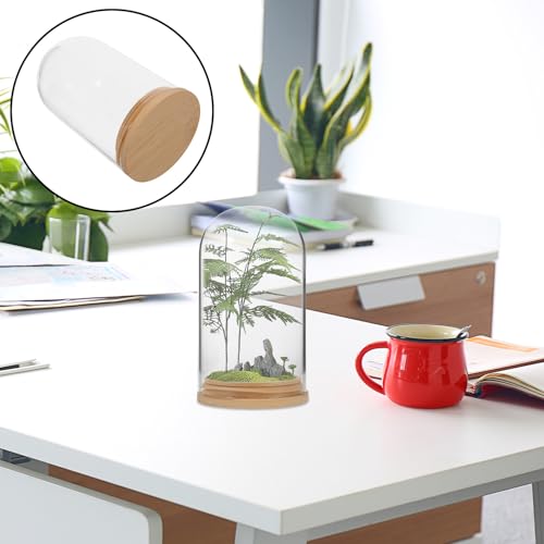 NUOBESTY Glass Cloche with Base Desk Terrarium for Office Hydroponic Vase for Propagation Clear Display Dome for Indoor Plants Tabletop Succulent Planter 4.72 X 2.75 X 2.75 in