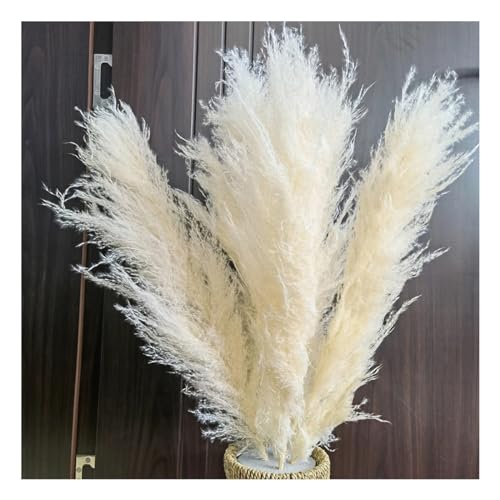 ECYC Ltd 12 Pcs Tall Dried Pampas Grass for Floor Vase, 31 inch Natural Dried Pampas Grass Bouquet Fluffy Large Pampas Grass Dried Plants Pampas Flowers for Home, Farmhouse, Wedding, Party Decor - color: White, size: 12 Pcs