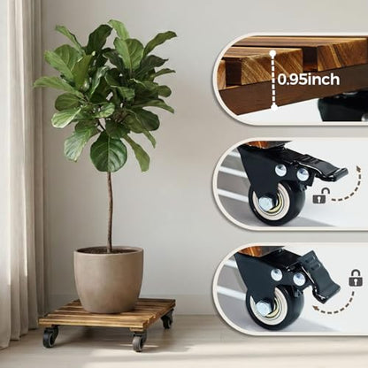 Bamworld 14 Inch Large Plant Stand Wood Plant Caddy with Wheels Heavy Duty Plant Dolly with 360 Lbs Capacity, 360° Lockable Wheels for Large Plant Pots, Indoor and Outdoor Use 2-Pack - size: 14inch-Square-2 pack