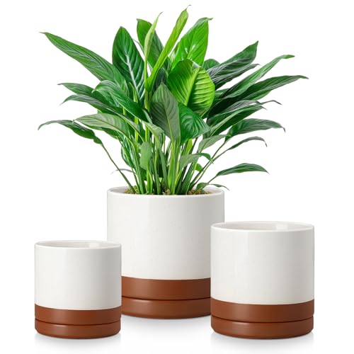vancasso Ceramic Plant Pots, 3 Piece Planters for Indoor Plants, 4.25+5.25+6.25 Inch Flower Pots with Drainage, Plant Pots Indoor for Succulent, Pothos, Snake Plant and Money Tree, Etc (Khaki) - color: Khaki