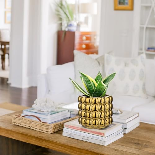 5 Inch Ceramic Planter Pot for Indoor Plants with Drainage Hole Bubble Flower Planter Hobnail Plant Pot Garden Planter Gold Succulent Plant Pot Utensil Holder - color: Gold # 5 Inch