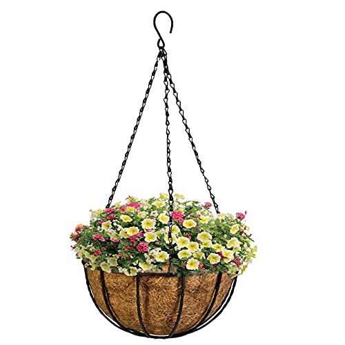 Kingbuy 8" Metal Hanging Basket for Small Succulents & Herbs – 5" Depth Rust-Resistant Wire with Coconut Liner & Chain for Kitchen Window, Balcony & Small Spaces - 1 Pack - size: 8 Inch, style: 1 Pack
