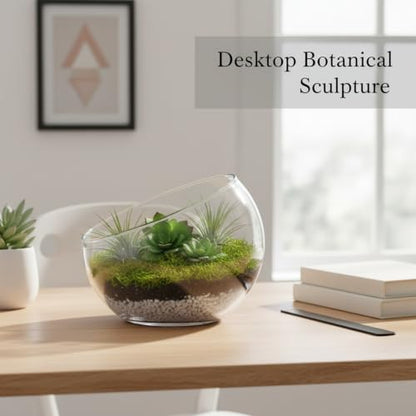 Geometric Glass Terrarium, Borosilicate Planter for Succulents and Air Plants, Desktop Display Vessel (1 PC)