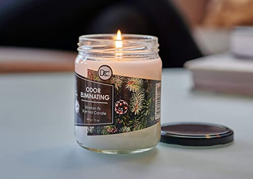 Siberian Fir Odor Eliminating Highly Fragranced Candle - Eliminates 95% of Pet, Smoke, Food, and Other Smells Quickly - Up to 80 Hour Burn time - 12 Ounce Premium Soy Blend - color: Siberian Fir