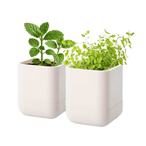 Phoenix Vine 3.5 Inch Wall Mounted Self-Watering Planter Pot for Indoor Houseplants and Herbs | Hanging Planter for Window Sills, Bathroom Walls, Home & Office Décor, Oatmeal, Set of 2, 01-A-G-2 - color: Oatmeal, size: 3.5" (2 Pack)