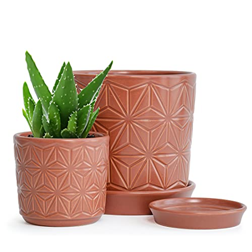 D'vine Dev 2-Pack Geometric Stoneware Planters, 3.8/5.8 in, Canyon, 99-E-5 | Drainage Hole and Saucer, Sculptural Geometric Design, Rich Glazed Surface, Modern Style, Elegant Accent for Indoor Plants - color: Pottery Red