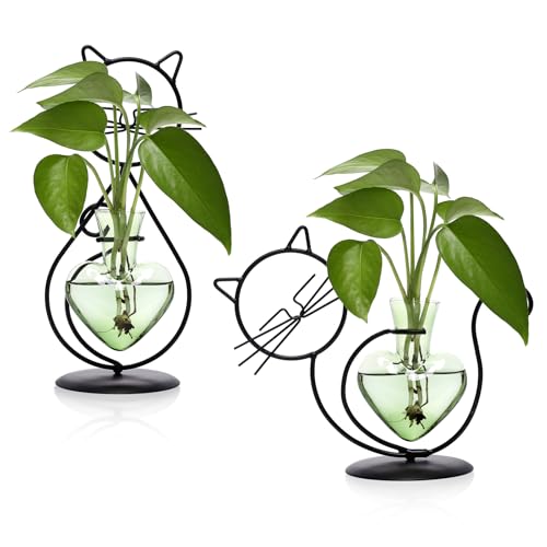 Plant Terrarium Propagation Station Gifts for Women Cat Lover | Plant Lovers Home Office Decor Cat Desk Accessories - color: Green
