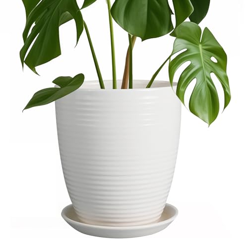 8 Inch Ceramic Planter Pot Round Plant Pot with Drainage Hole and Saucer Modern Flower Pot for Indoor Outdoor Plants White - color: Matte White, size: 8 Inch