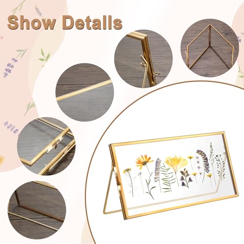 Double-Glass Dried Flower Frame, Brass Floating Frames for Pictures, Pressed Flowers, Leaves, Arts, Stamps, 4x 9 inches Decorative Tabletop Display Holder for Home Plant Specimen (FRAME ONLY)