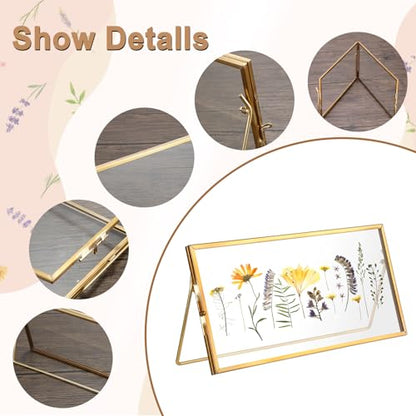 Double-Glass Dried Flower Frame, Brass Floating Frames for Pictures, Pressed Flowers, Leaves, Arts, Stamps, 4x 9 inches Decorative Tabletop Display Holder for Home Plant Specimen (FRAME ONLY)