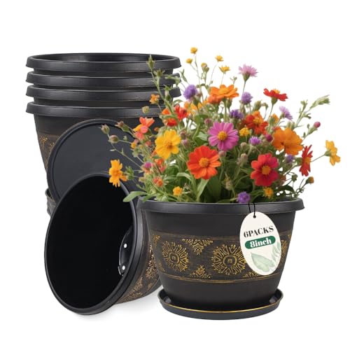 8 Inch Retro Plant Pots 6 Pack with Drainage and Saucers Gold | Gold retro PP pots with drainage holes and saucers for herbs succulents starter plants shelves and windowsills - color: Gold, size: 8 Inches-6 packs
