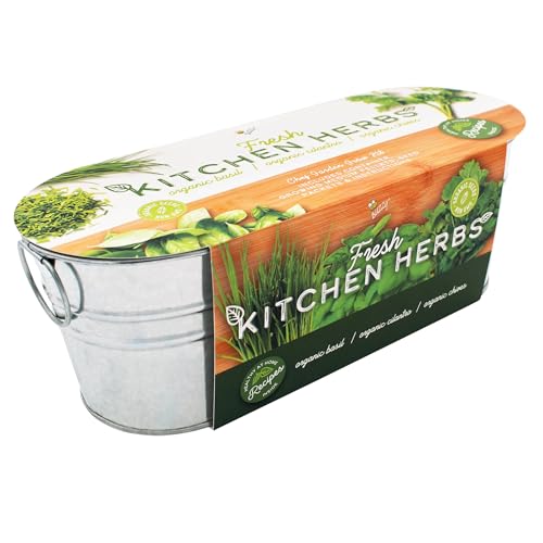 BUZZY Seeds Organic Windowsill Grow Kit, Copper Culinary Herb Garden with Basil, Cilantro and Chives, Indoor Starter Set with Seed Packets and Growing Medium, Holiday Present, Gardening Gift - color: Kitchen Herbs