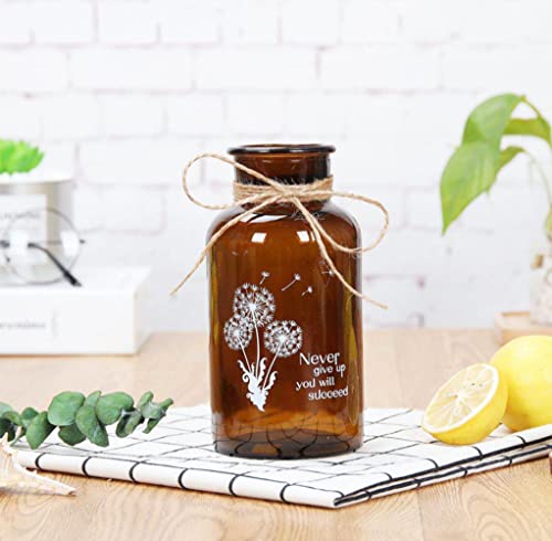 Amber Glass Vase Set, Bud Vase, Decorative Glass Bottles, Apothecary Jars, Vintage Flower Vase Centerpieces for Wedding Home Table Décor (1PC-dandelion-500ML) - size: 1PC-dandelion-500ML