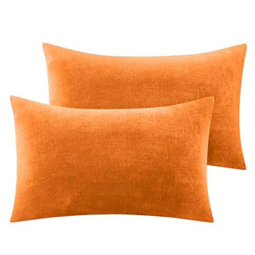 BEDELITE Flannel Pillow Cases Queen Size Set of 2, Burnt Orange, 20x30 in | Super Cozy Fuzzy Velvet Pillow Shams with Zipper Closure, Soft Fleece Pillowcases for Bedroom, Sofa, Couch, All-Season Use - color: Burnt Orange, size: 30" x 20" (Pack of 2)