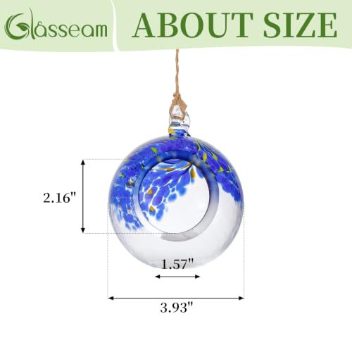 Glasseam Hanging Glass Plant Terrarium: 3Pcs Hanging Airplant Fern Holders | 4 Inch Thick Handmade Planter Hanger Globe for Tillandsia Succulent Moss, Indoor Wall Window Decor Gift for Plant Lovers