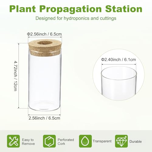 M METERXITY 1 Pack Glass Planter Terrarium with Wooden Cover, Desktop Plant Propagation Station Clear Vase for Hydroponic Plants Propagation/Home Garden Decor/Plant Lover [2.56'' x 4.72''] - size: 2.56'' x 4.72''