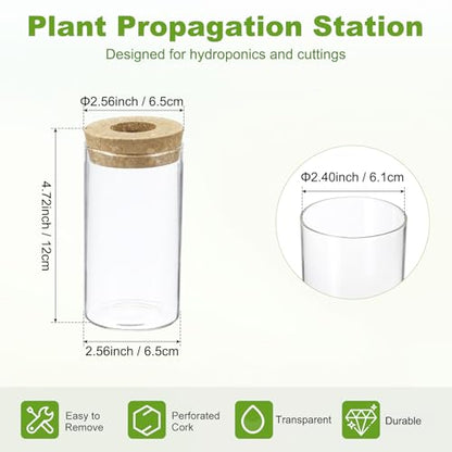 M METERXITY 1 Pack Glass Planter Terrarium with Wooden Cover, Desktop Plant Propagation Station Clear Vase for Hydroponic Plants Propagation/Home Garden Decor/Plant Lover [2.56'' x 4.72''] - size: 2.56'' x 4.72''