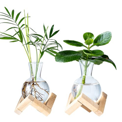 Propagation Stations, Propagation vases with Wooden Stand, Small Tabletop Glass Bulb Vases for Hydroponics Plant Propagation Station Home Office Decoration, Gift for Women Plant Lovers (2)
