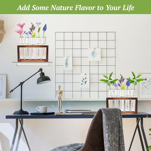 Tigvio 2pcs Desktop Glass Plant Propagation Station (10 Tubes) | with 10 Test Tubes in Wooden Stand, Hydroponic Plants Cutting Office Home Decoration and Garden Decor Terrarium - size: 10 Tubes
