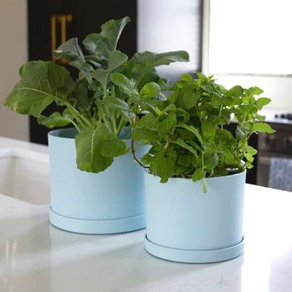 Bloem Mathers Planter w/Saucer Tray 8" Misty Blue - color: Misty Blue, size: 8"