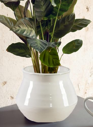 Serene Spaces Living Ivory Ceramic Pot Vase - Elegant Glossy Finish, Timeless Flared Design, Perfect for Floral Arrangements, Modern Home Décor & Gift Ideas, 6.5" Diameter & 5.5" Tall, Pack of 12