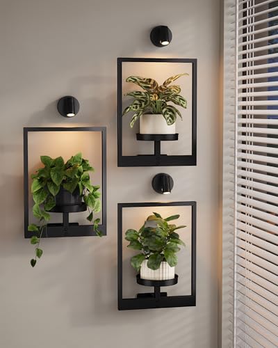 Bamworld Hanging Planters for Indoor Plants Wall Decor Living Room Light | Plant Stand Indoor Wall Planters Plant Hanger Window Plant Shelves 3-Packs with Lights