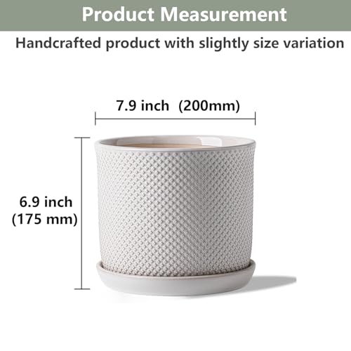 8 Inch Plant Pot: Ceramic Planter with Drainage Hole & Saucer Indoor Outdoor Plants - Flowerpot with Bonded Tray for Home Office - Beaded Embossed Style, Cream White | Indoor/Outdoor Plant Pot with Tray - Flowerpot for Home/Office - Beaded Embosse, Cream
