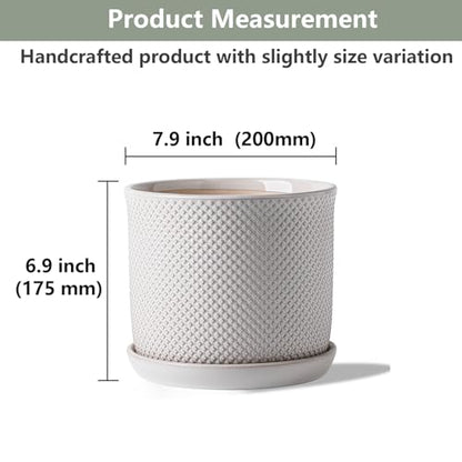 8 Inch Plant Pot: Ceramic Planter with Drainage Hole & Saucer Indoor Outdoor Plants - Flowerpot with Bonded Tray for Home Office - Beaded Embossed Style, Cream White | Indoor/Outdoor Plant Pot with Tray - Flowerpot for Home/Office - Beaded Embosse, Cream
