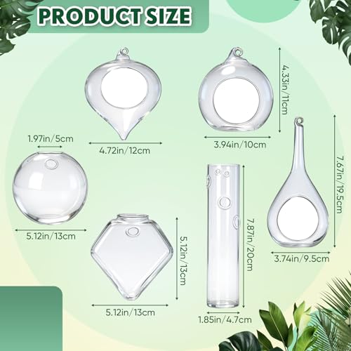Zopeal 3 Pack Glass Hanging Planter Air Fern Holder Terrarium Plants Hanger Vase and 3 Pcs Wall Planter Propagation Stations Glass Flower Vase for Plant Lovers Gifts Home Christmas Hydroponic Plants