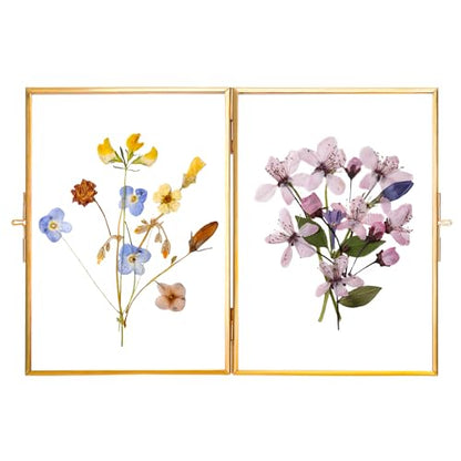 REDHUGO Glass Pressed Flower Frame Handmade, Rectangle, Gold, 5×7 Inches | Hinged Double Press Flower Frame, Tabletop Brass Photo Frames, Rectangle Dried Flowers Display Folding Frames for Home - color: Gold, size: 5L" x 7W"