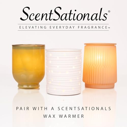 Scentsationals Lantern Wax Warmer and 4-Pack Variety Pack Wax Melts Starter Bundle (Ranch Lantern Warmer + Staycation 4pk)