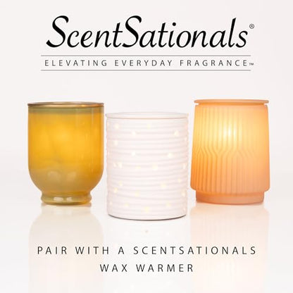 Scentsationals Lantern Wax Warmer and 4-Pack Variety Pack Wax Melts Starter Bundle (Ranch Lantern Warmer + Staycation 4pk)