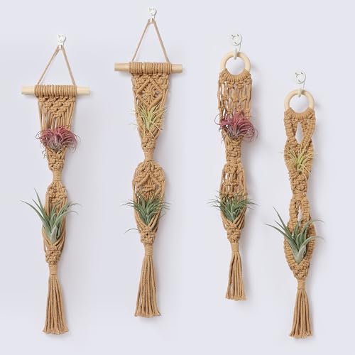 2 Tier 4 Pack Air Plant Holder, Air Plant Wall Hanger | Wall Planter, Macrame Plant Hanger, Air Plant Wall Hanging, Air Plant Wall Decor, Wall Planters for Indoor Plants - color: Brown, size: 2-Tier