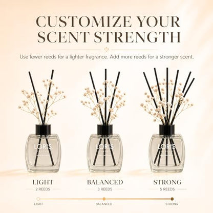 Loris Citrus & Lavender Reed Diffuser Set with Dried Flowers | Reed Diffusers for Home with Sticks | Bathroom Diffuser & Room Scent | Long-Lasting Home Fragrance | 120 mL / 4.06 fl oz - color: Citrus & Lavender