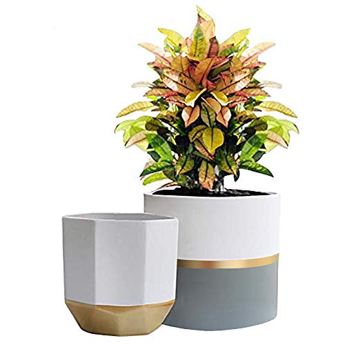 LA Jolie Muse Ceramic Flower Pots, 6.7 & 5.4 Inch Indoor Plant Pot Set of 2 | Modern Decorative Indoor Planters with Gold and Grey Detailing for House Plants, Living Room, Bedroom, Office and Home Decor - color: 6.7"+6.7"-white Gold Grey