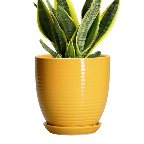 Ceramic Pots for Plants - 6 Inch Plant Pot for Indoor Plants, Ceramic Planter with Drainage Hole and Saucer, Round Decorative Flower Pots, Desk Home Decor, Plant Lover Gifts, Glossy-Yellow - color: Glossy-yellow, size: 6 Inch