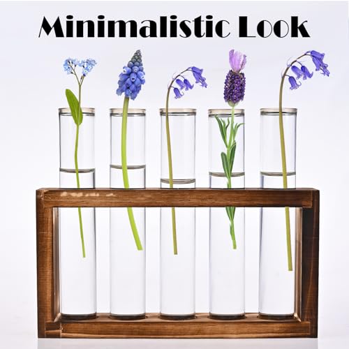 Tigvio Desktop Glass Plant Propagation Station (5 Tubes) | with 5 Test Tubes in Wooden Stand - Hydroponic Plants Cutting Office Home Decoration and Garden Decor Terrarium - size: 5 Tubes