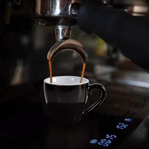 homEdge Porcelain Espresso Shot Cup Set with Saucers and Stainless Steel Spoons - 80 ml / 2.67 oz, Set of 4, Black - color: Black