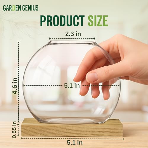 Single Glass Propagation Station with Wooden Base – Hydroponic Plant Terrarium for Home & Office | Ideal Christmas, New Year & Birthday Gift for Plant Lovers, Moms | Desktop Windowsill Planter Vase - size: Brown (Round Vase)