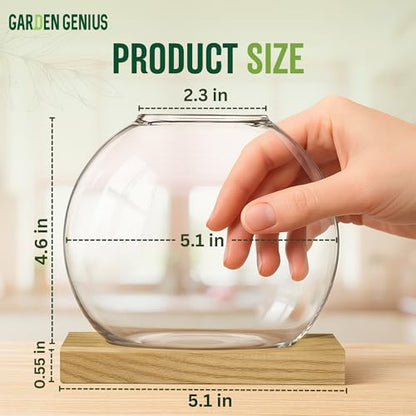 Single Glass Propagation Station with Wooden Base – Hydroponic Plant Terrarium for Home & Office | Ideal Christmas, New Year & Birthday Gift for Plant Lovers, Moms | Desktop Windowsill Planter Vase - size: Brown (Round Vase)