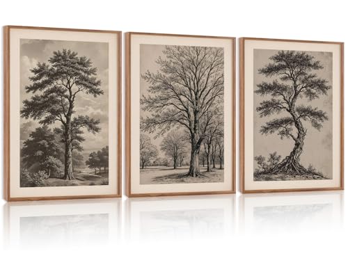 HPINUB Vintage Sketch Tree Framed Canvas Wall Art Set,Modern Nature Botanical Wall Decor, Antique Wilderness Tree Artwork,Minimalist Neutral Art Prints for Living Room,Bedroom(Set of 3,12X16 Inch) - color: Antique Wilderness Tree Wall Art
