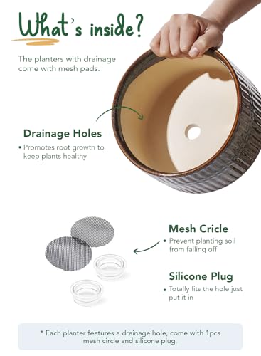LE TAUCI Succulent Pots, 6.5+8 Inch Ceramic Pots for Plants Indoor, Shallow Round Succulent Planters with Drainage Hole, Set of 2, Reactive Glaze Black - color: Reactive Glaze Black