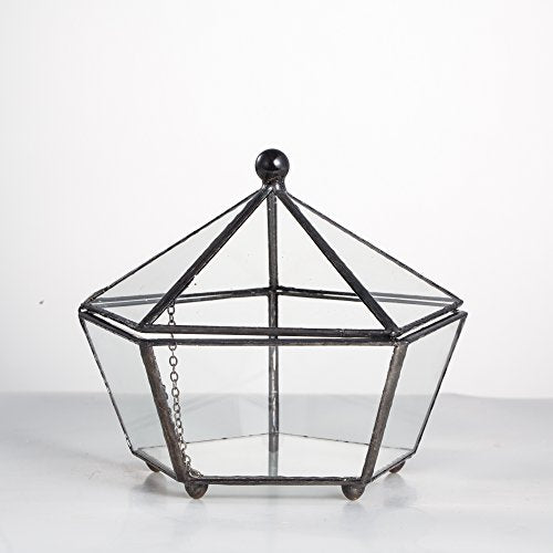 NCYP Small Glass Geometric Terrarium, Closed Jewel-Boxed Shape Container, Plant Succulent Planter Pot, Indoor Garden Decor, 5.3" x 5.3" x 4.5" (Terrarium Only)