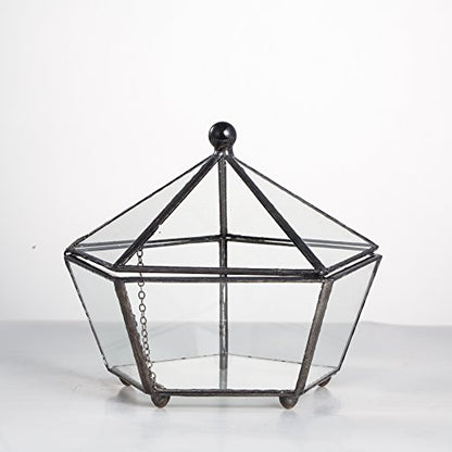 NCYP Small Glass Geometric Terrarium, Closed Jewel-Boxed Shape Container, Plant Succulent Planter Pot, Indoor Garden Decor, 5.3" x 5.3" x 4.5" (Terrarium Only)